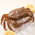 Pre-Cooked Frozen Brown Crab (Bread Crab) 1kg