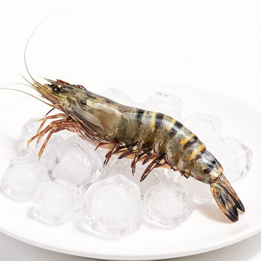 Wild-Caught Tiger Shrimp 1000g