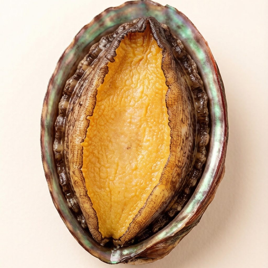 Whole Abalone in Shell